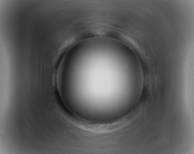 X0000088130023200705211125