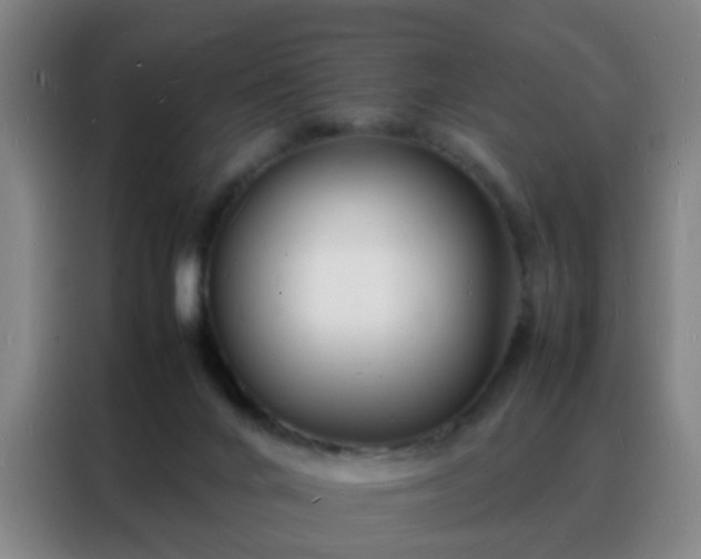 X0000088130024200705211125