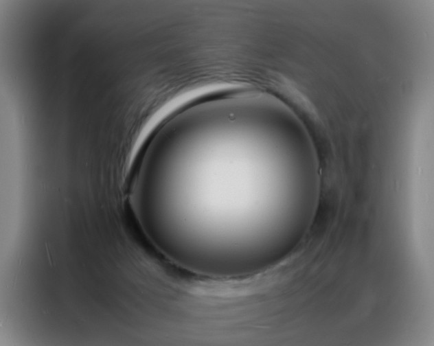 X0000088130025200705211125