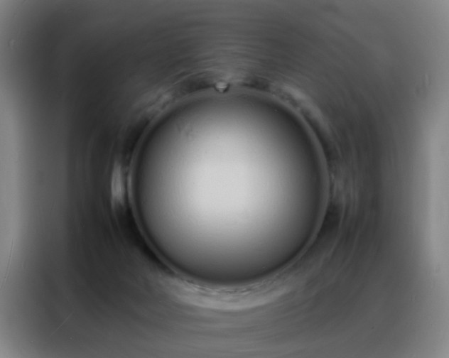 X0000088130026200705211125