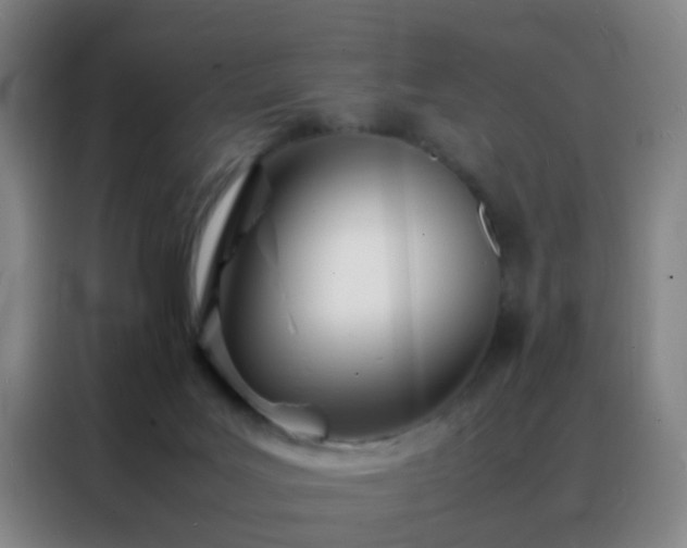 X0000088130027200705211125