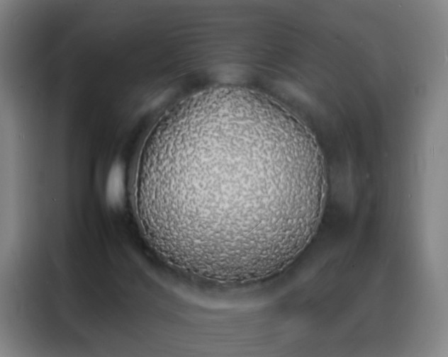 X0000088130028200705211125