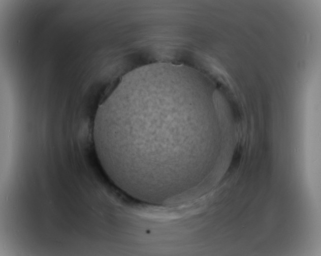 X0000088130029200705211125