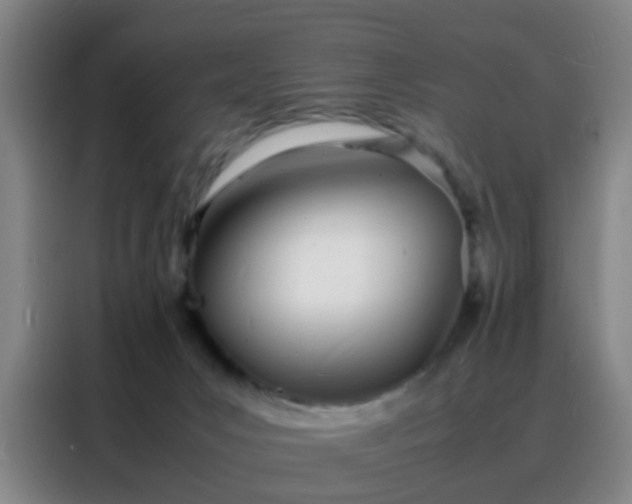 X0000088130031200705211124