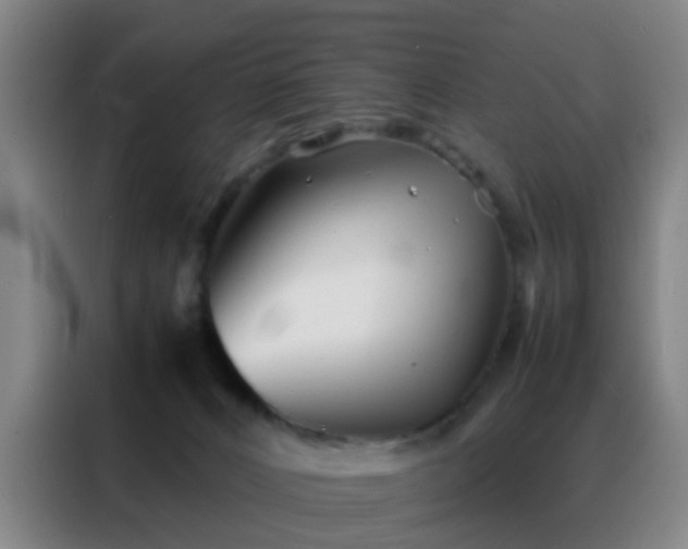 X0000088130032200705211124