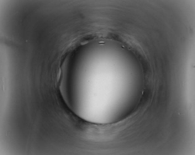 X0000088130033200705211124