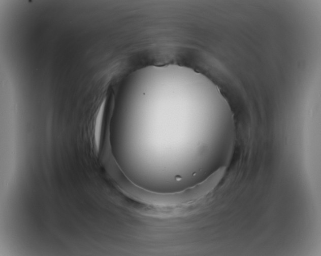 X0000088130037200705211124