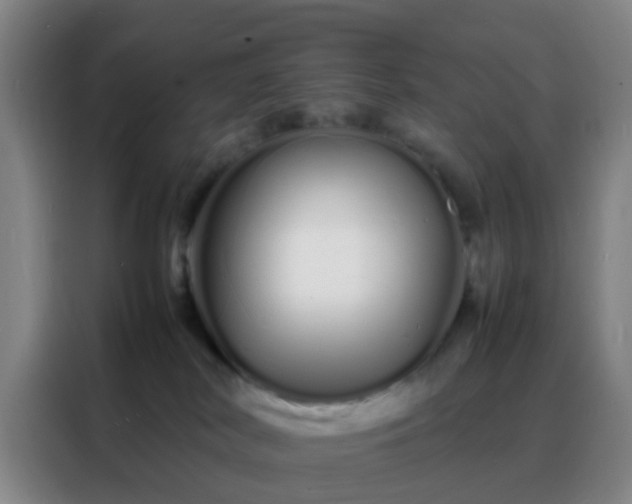 X0000088130038200705211124