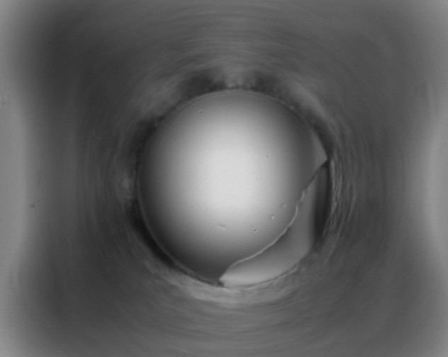 X0000088130039200705211124