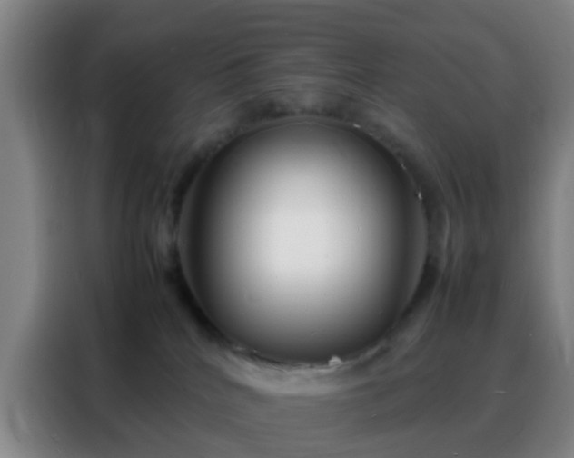 X0000088130040200705211124