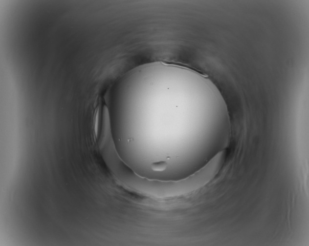 X0000088130041200705211124