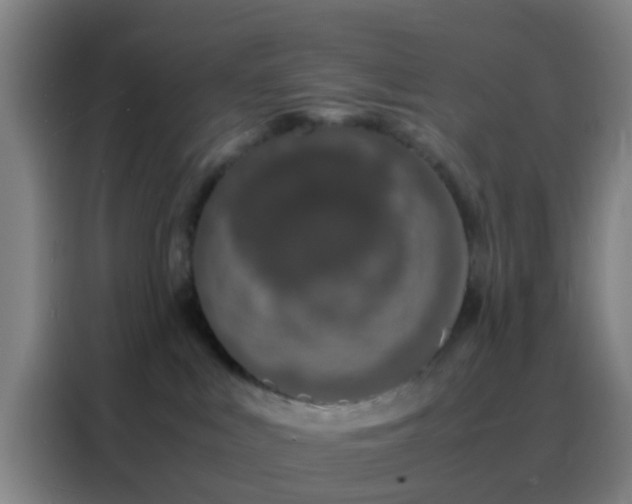 X0000088130043200705211124