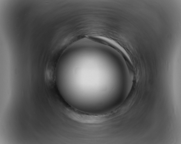 X0000088130044200705211124