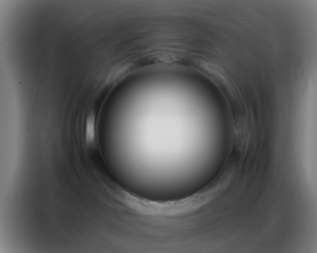 X0000088130046200705211124