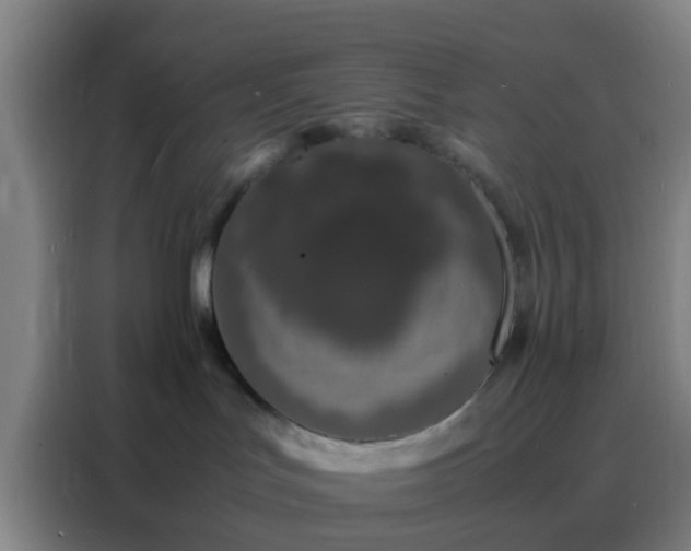 X0000088130047200705211124