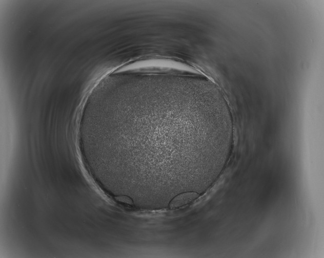 X0000088130049200705211124