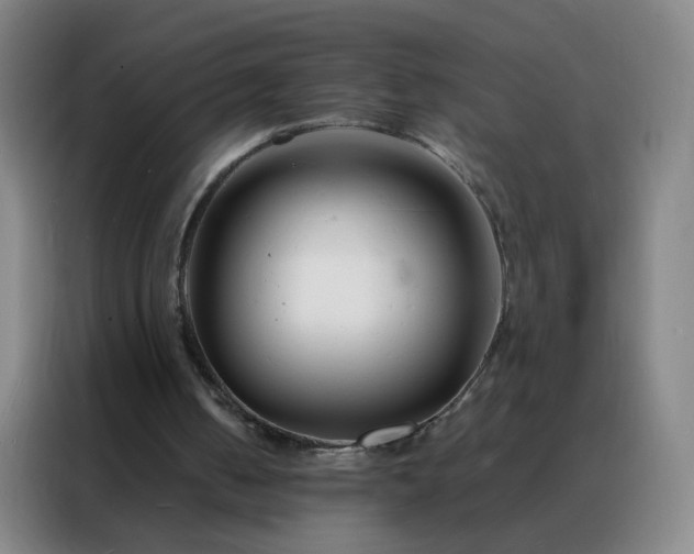 X0000088130050200705211124