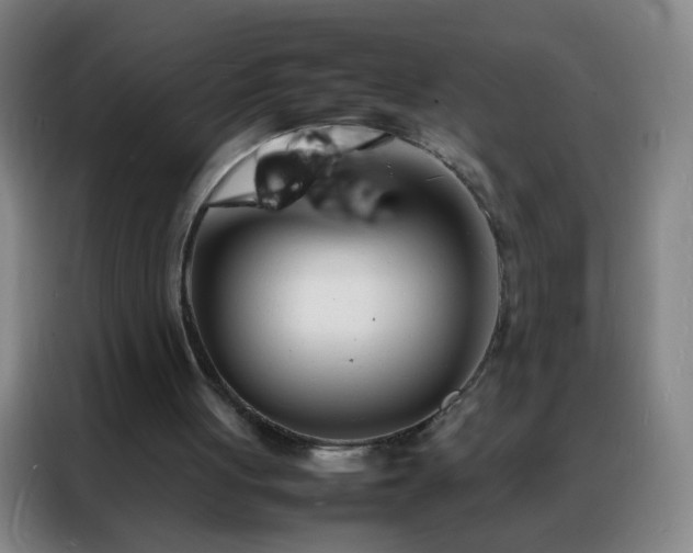 X0000088130051200705211124