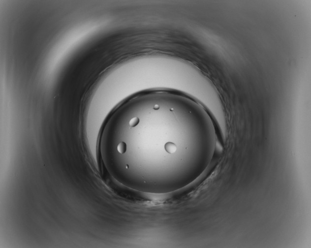 X0000088130052200705211124