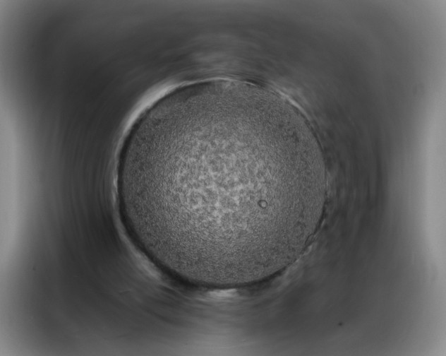 X0000088130054200705211124