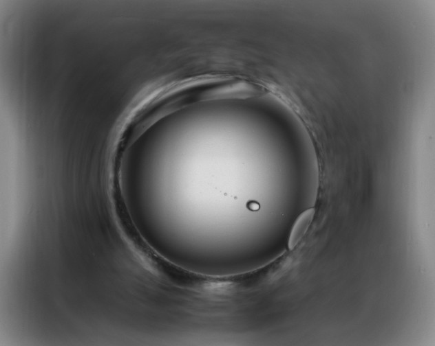 X0000088130055200705211124