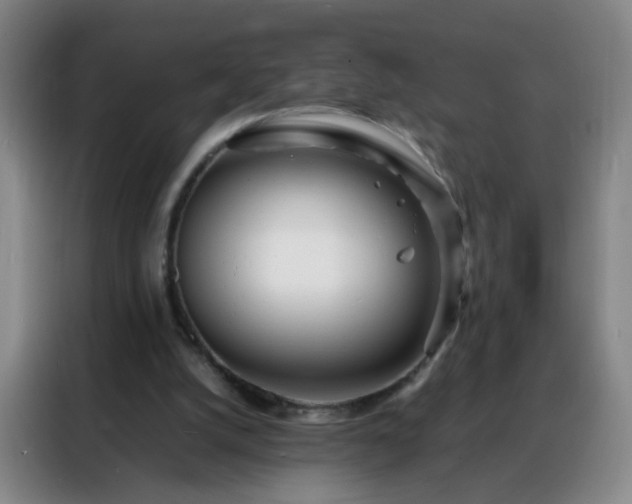 X0000088130056200705211124