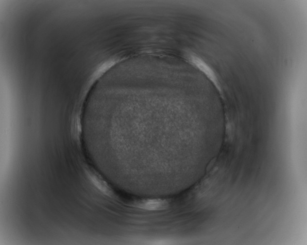 X0000088130059200705211124