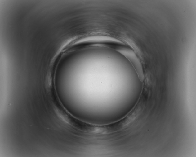 X0000088130060200705211124