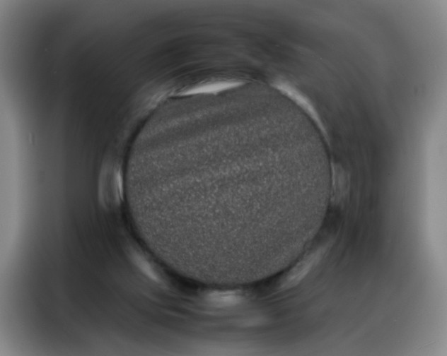 X0000088130061200705211124