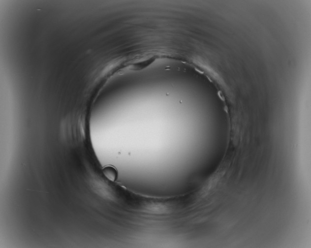 X0000088130062200705211124