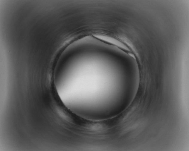 X0000088130063200705211124