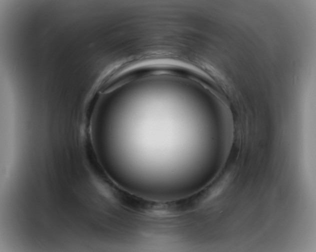 X0000088130064200705211124