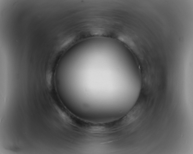 X0000088130066200705211124