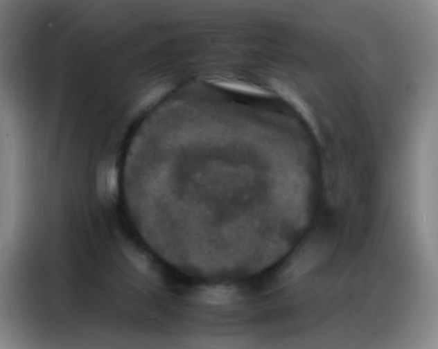 X0000088130067200705211124