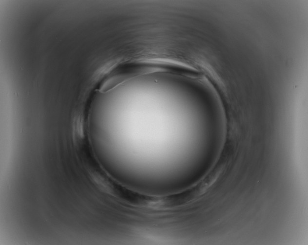 X0000088130068200705211124