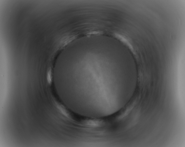 X0000088130069200705211124