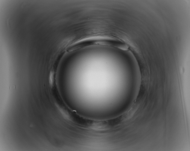 X0000088130070200705211124