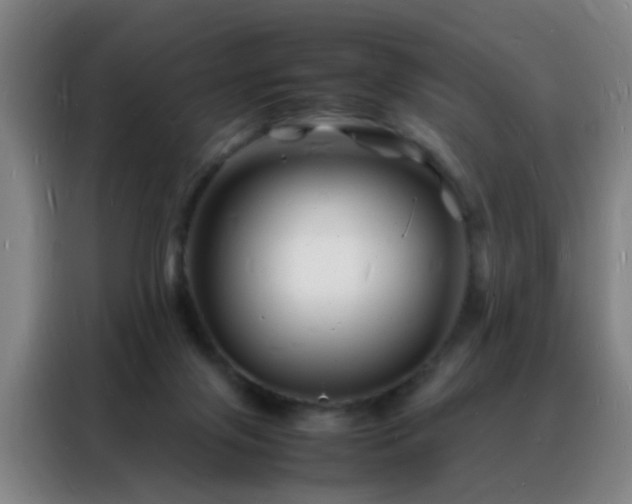 X0000088130071200705211124