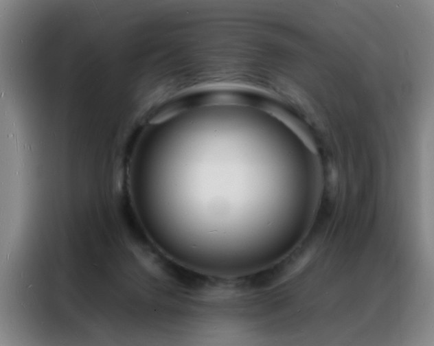 X0000088130072200705211124