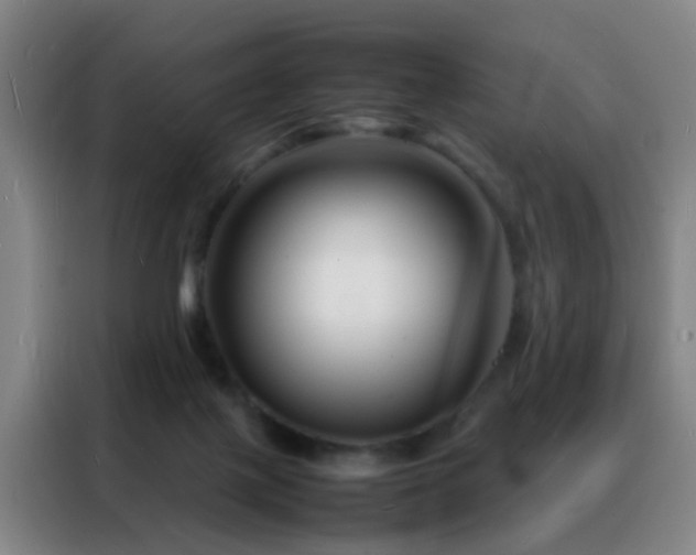 X0000088130075200705211124