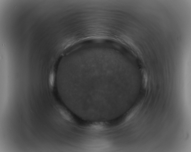 X0000088130076200705211124