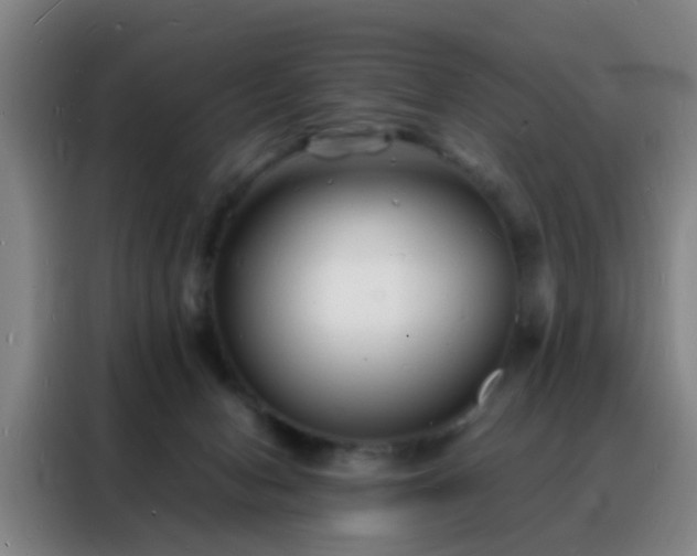 X0000088130078200705211124