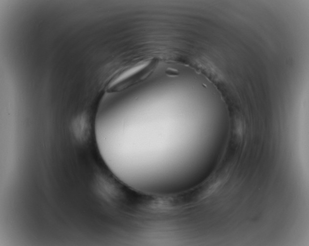 X0000088130080200705211124