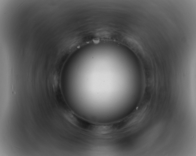 X0000088130081200705211124