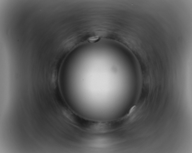 X0000088130082200705211124