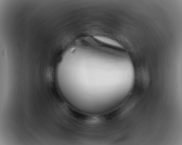 X0000088130083200705211124