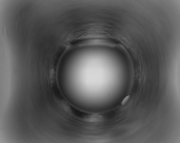 X0000088130087200705211124