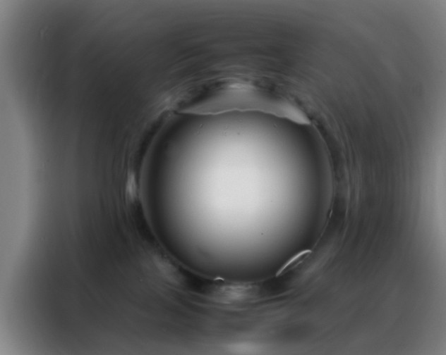 X0000088130089200705211124