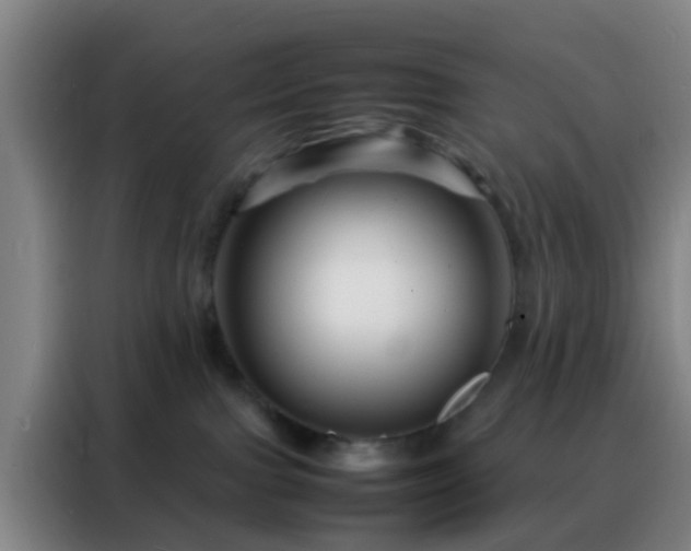 X0000088130091200705211124