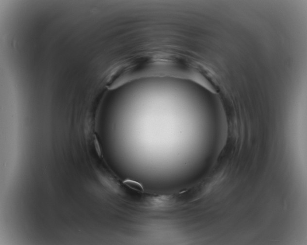 X0000088130092200705211124